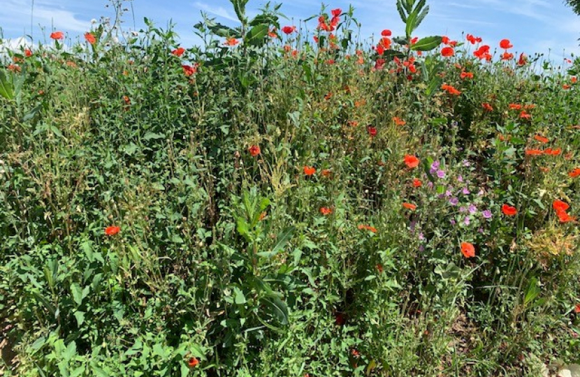 Flowers